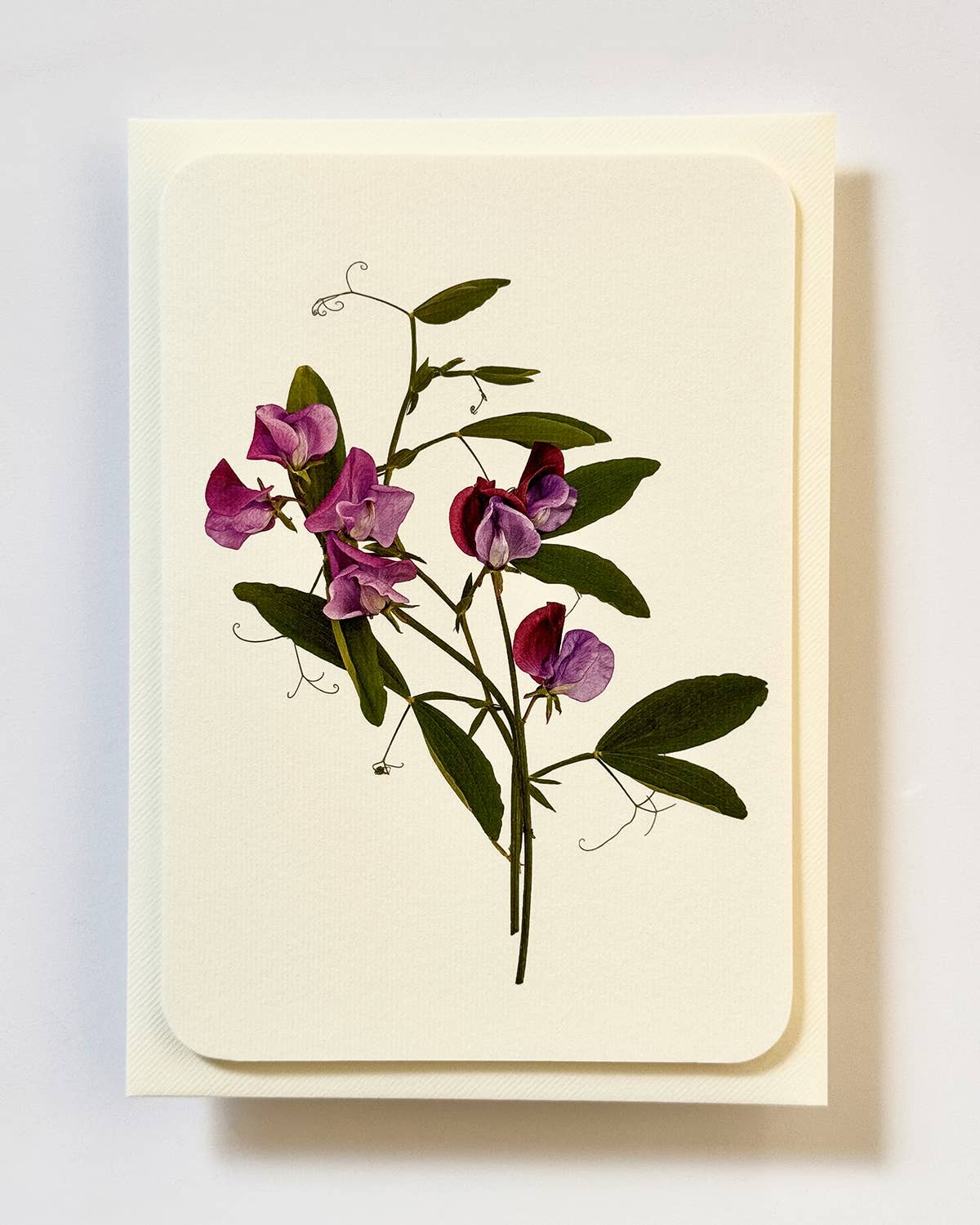 Violet Sweet Peas - Greeting card