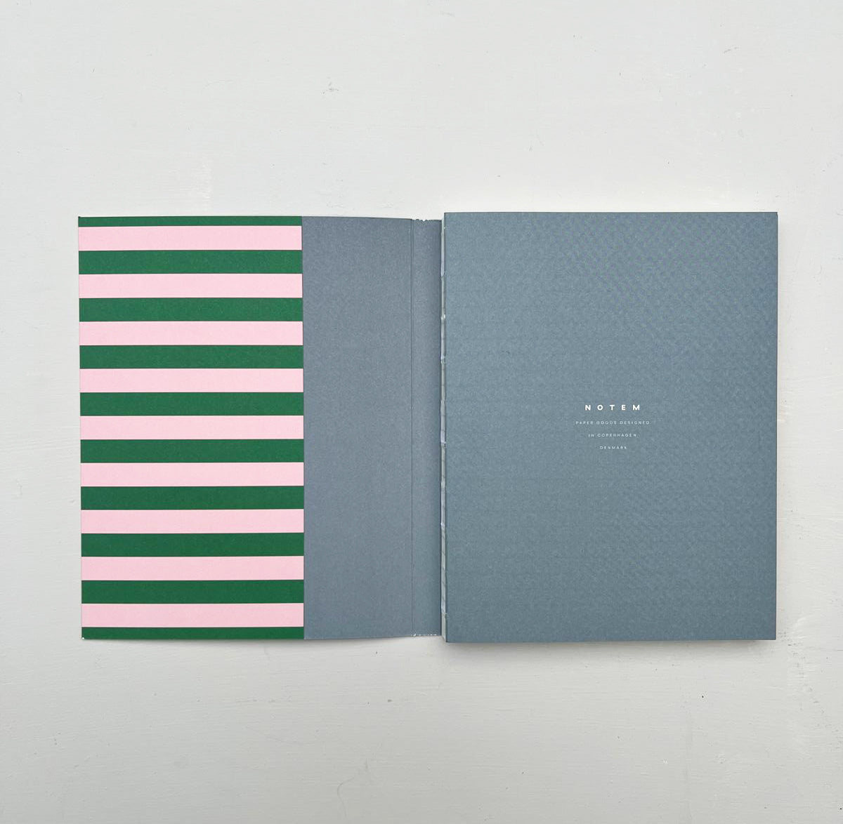 Notem Flat Lay Notebook - Green and Rose