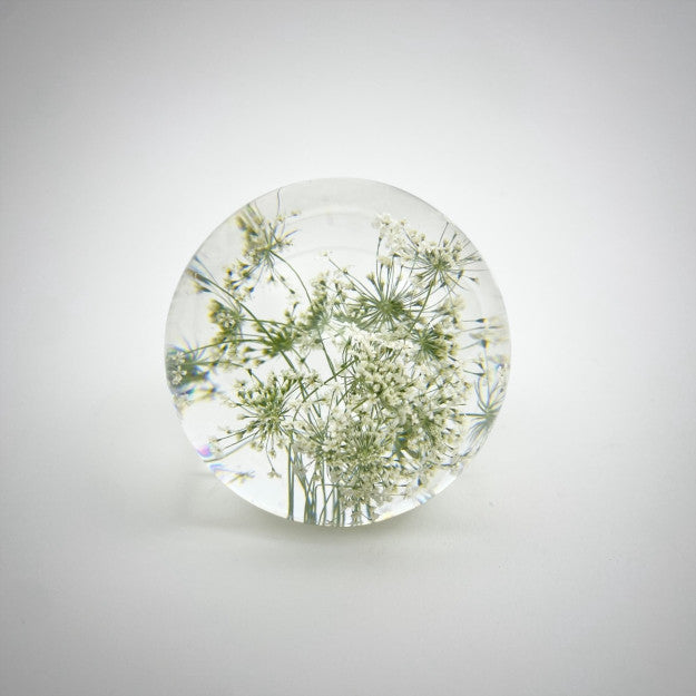 Gypsophila Paper Weight