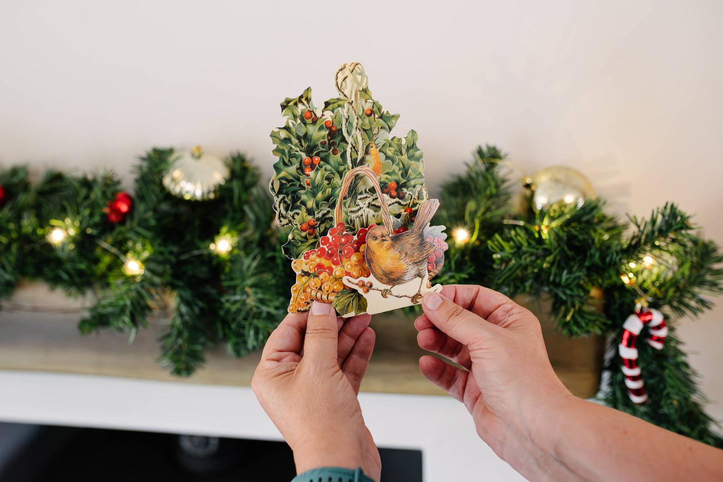 Robin & Holly - 3D Greetings Card