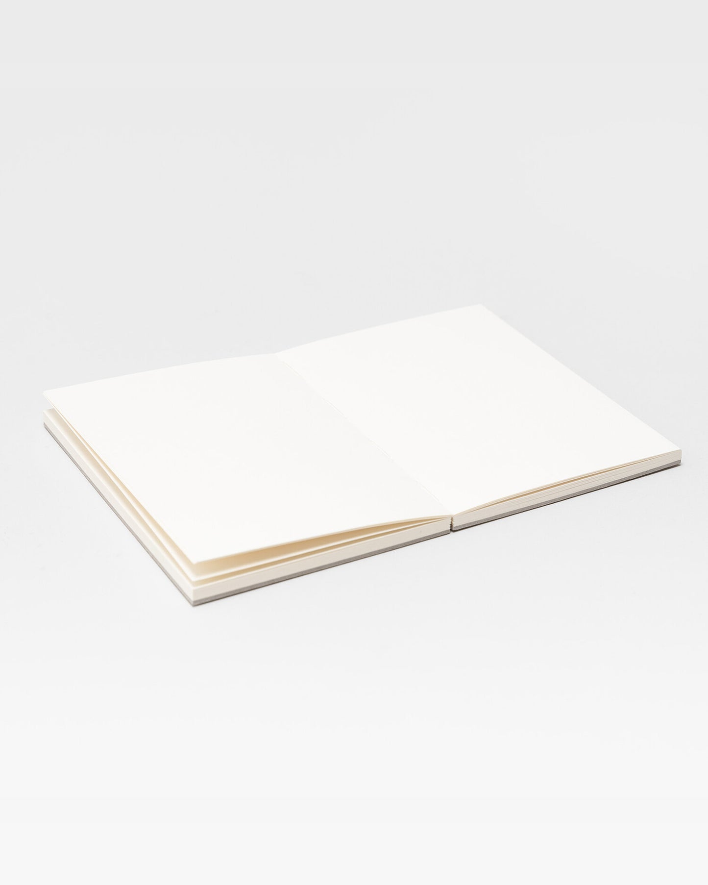 Kabosu Sketchbook