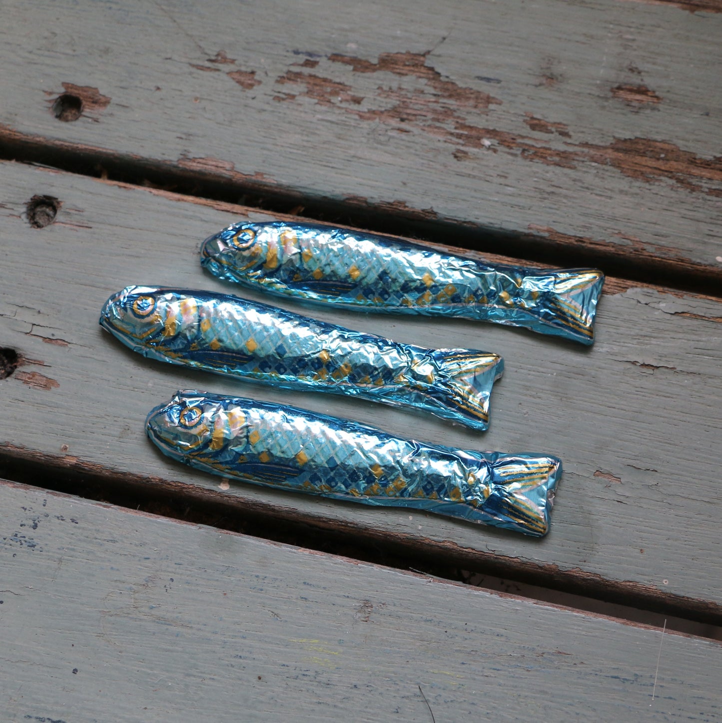 Chocolate Sardines