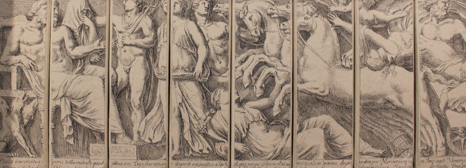 Set of 8 File Boxes - Frieze