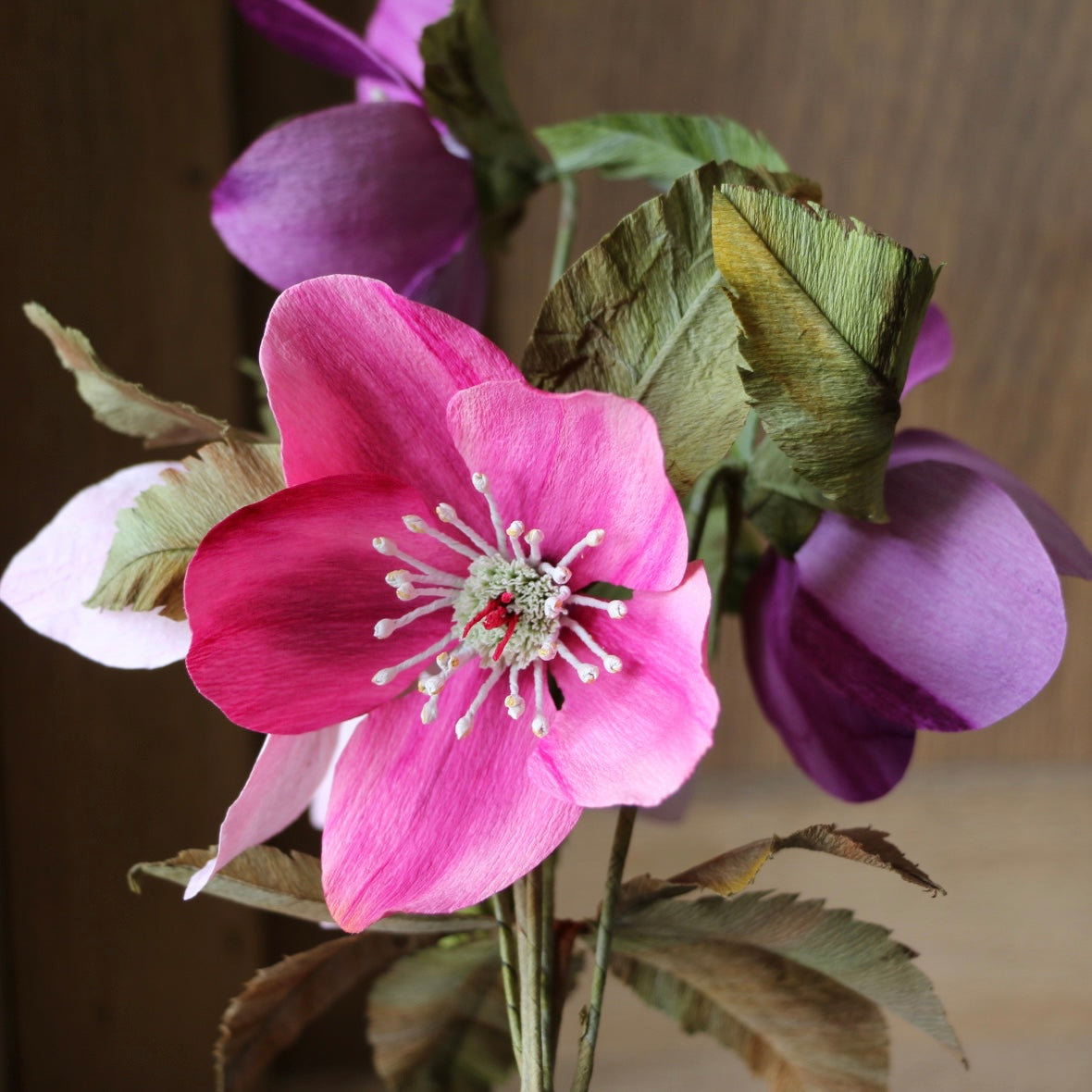 Floragami / Hellebore Bunch #2