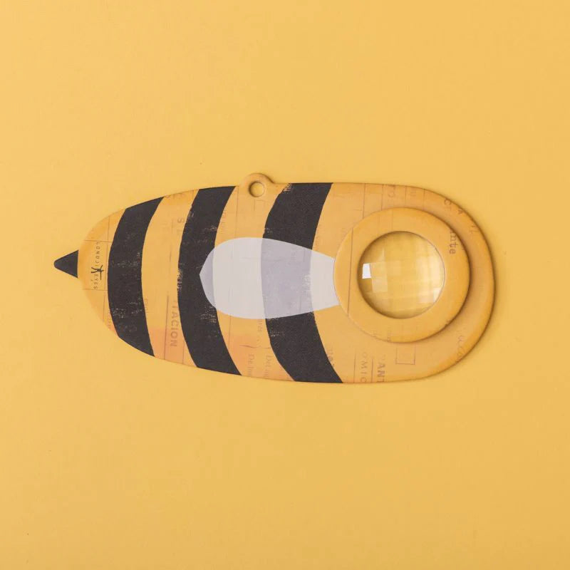 Bee Insect Eye