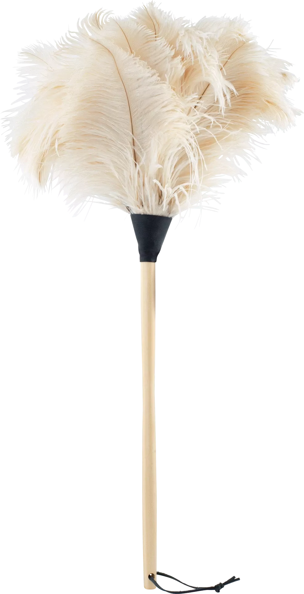 White feather duster