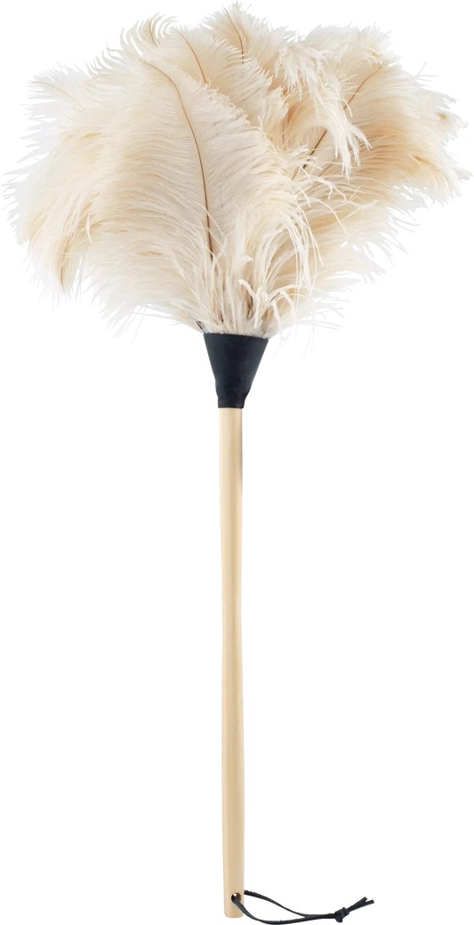 White feather duster