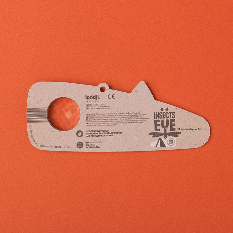 Grasshopper Insect Eye