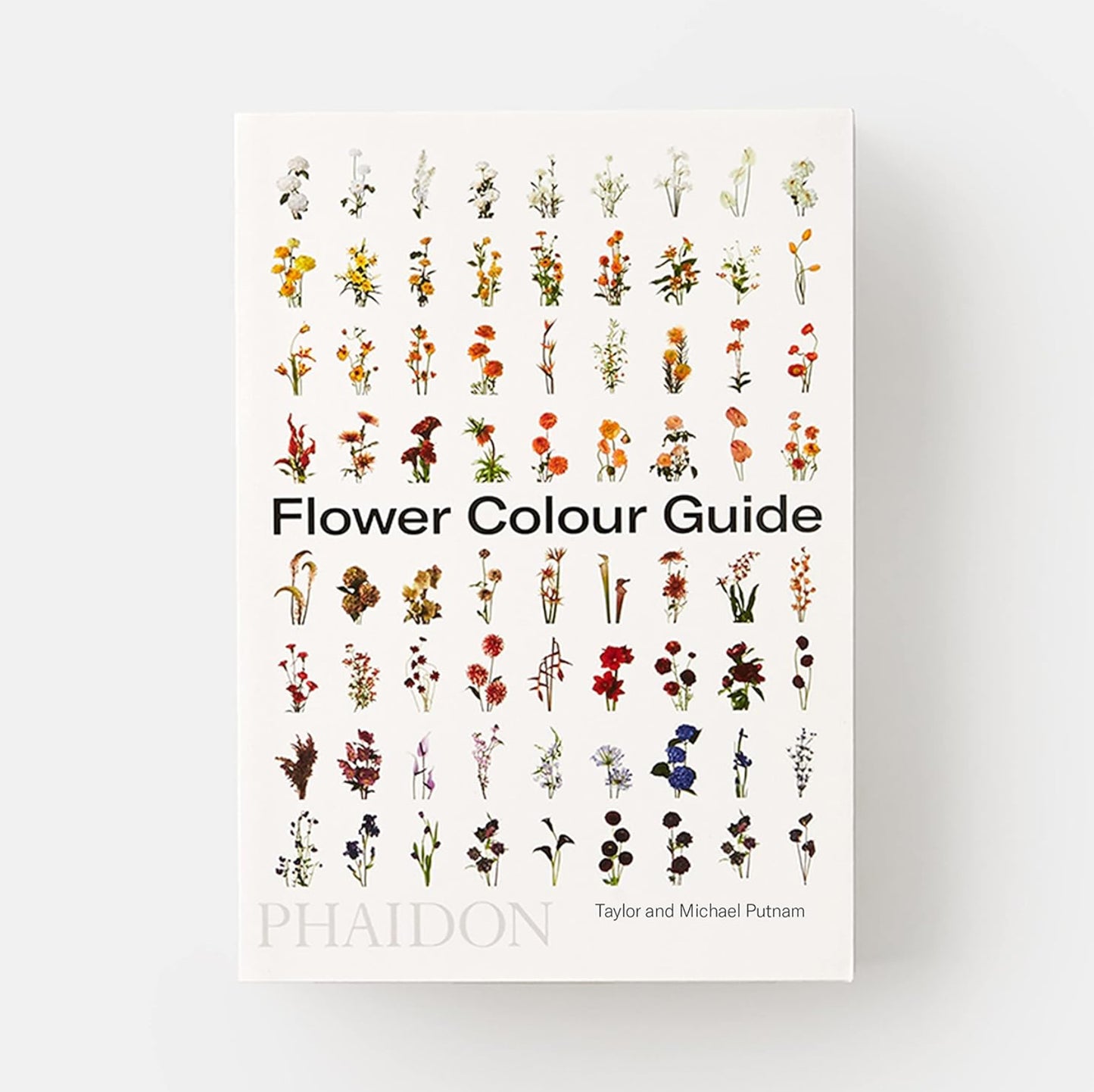 Flower Colour Guide by Taylor Putnam