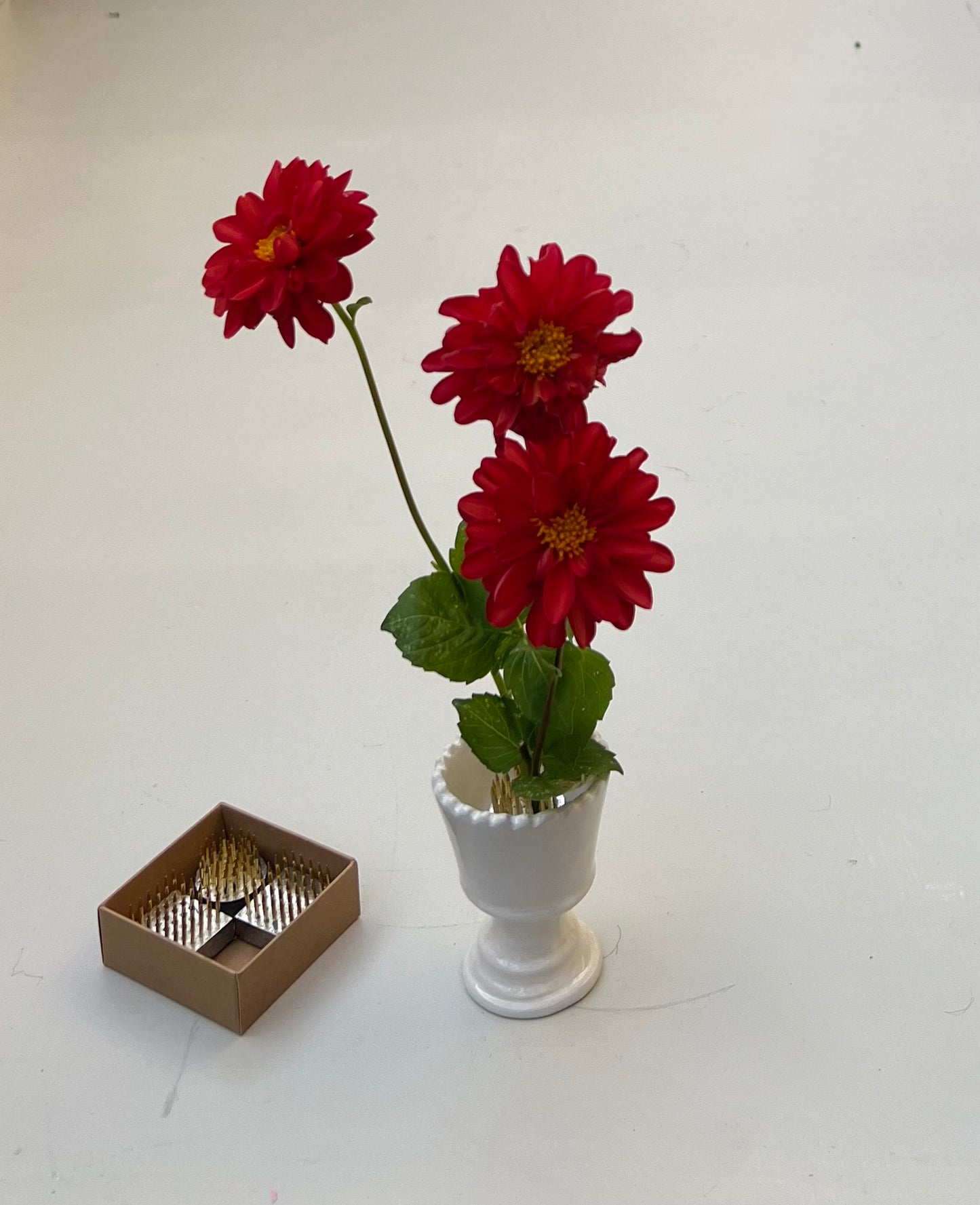 The Kenzan Mini Flower Frog Set