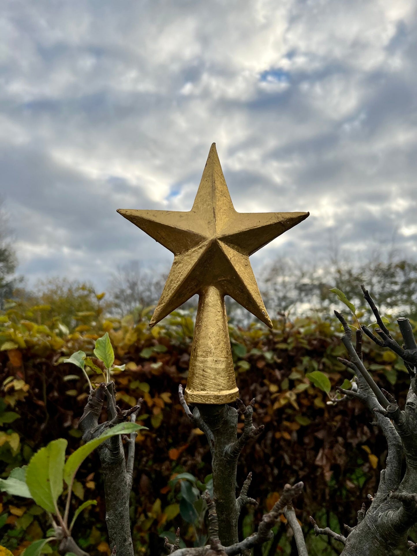 Gold Star Tree Topper - Small