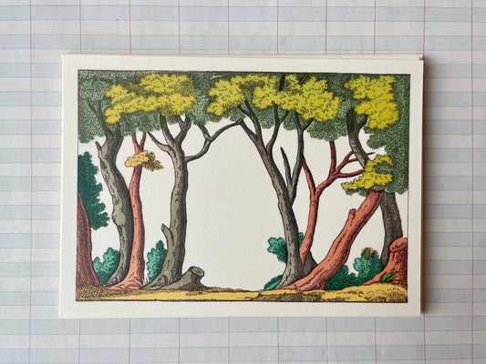 Set of 8 Cards with envelopes - Through The Trees