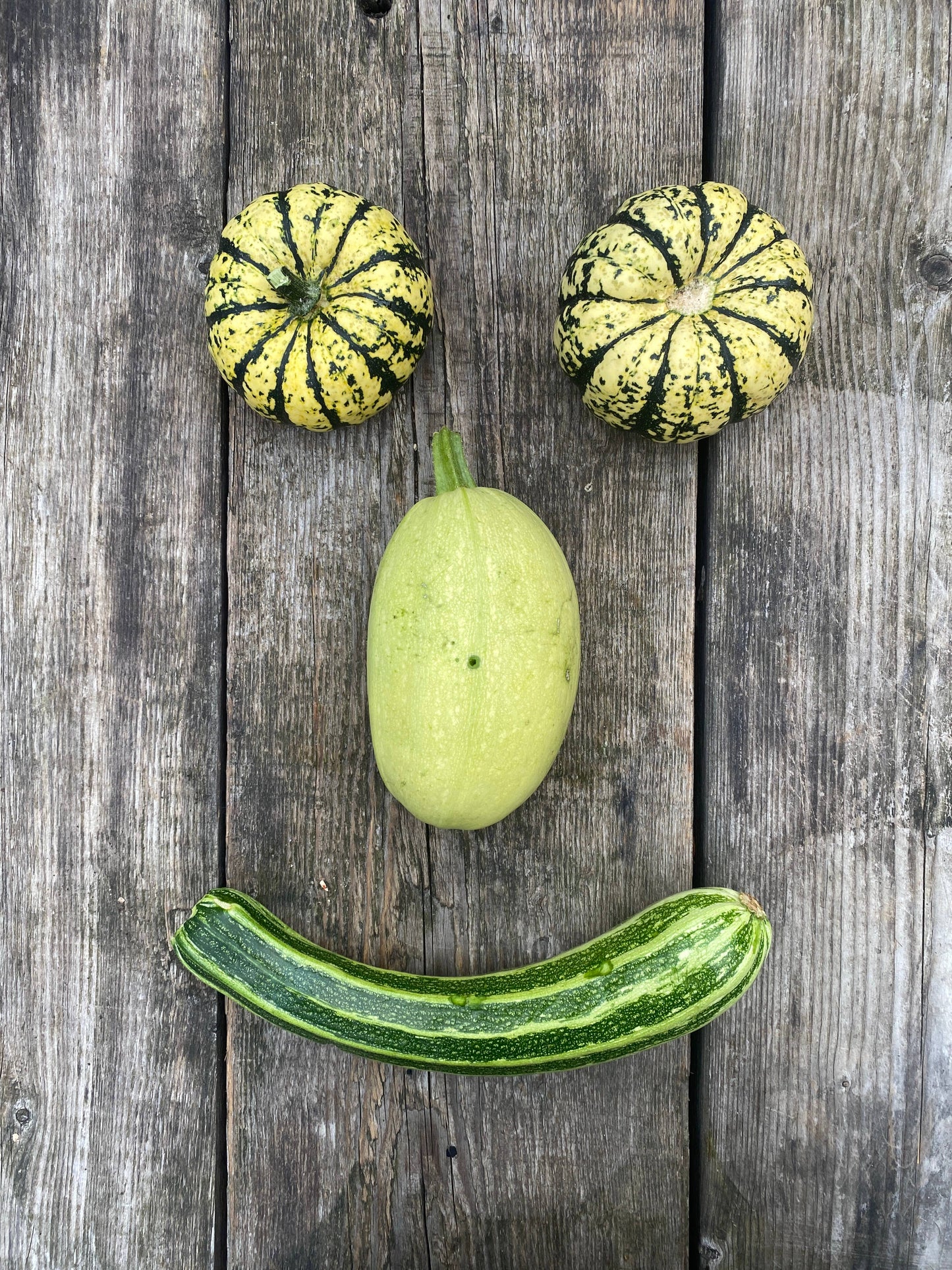 Grow Courgette - Greeting Card