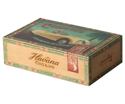 Grandma & Grandpa Mice in Cigar Box
