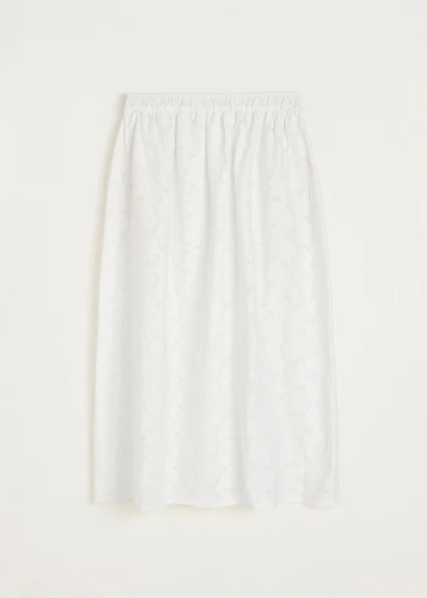 Skirt Laceflower - White