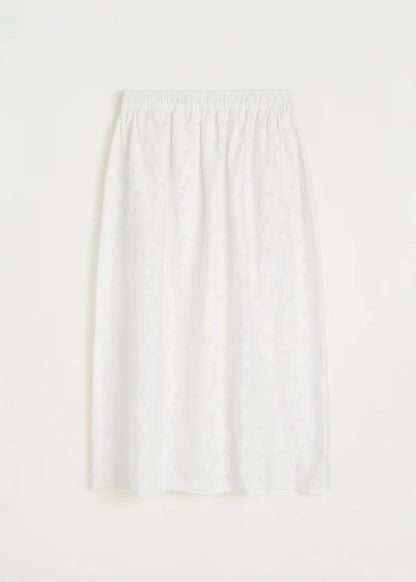Skirt Laceflower - White