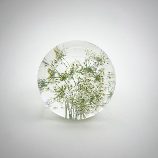 Gypsophila Paper Weight