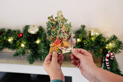 Robin & Holly - 3D Greetings Card