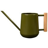 Indoor Watering Can
