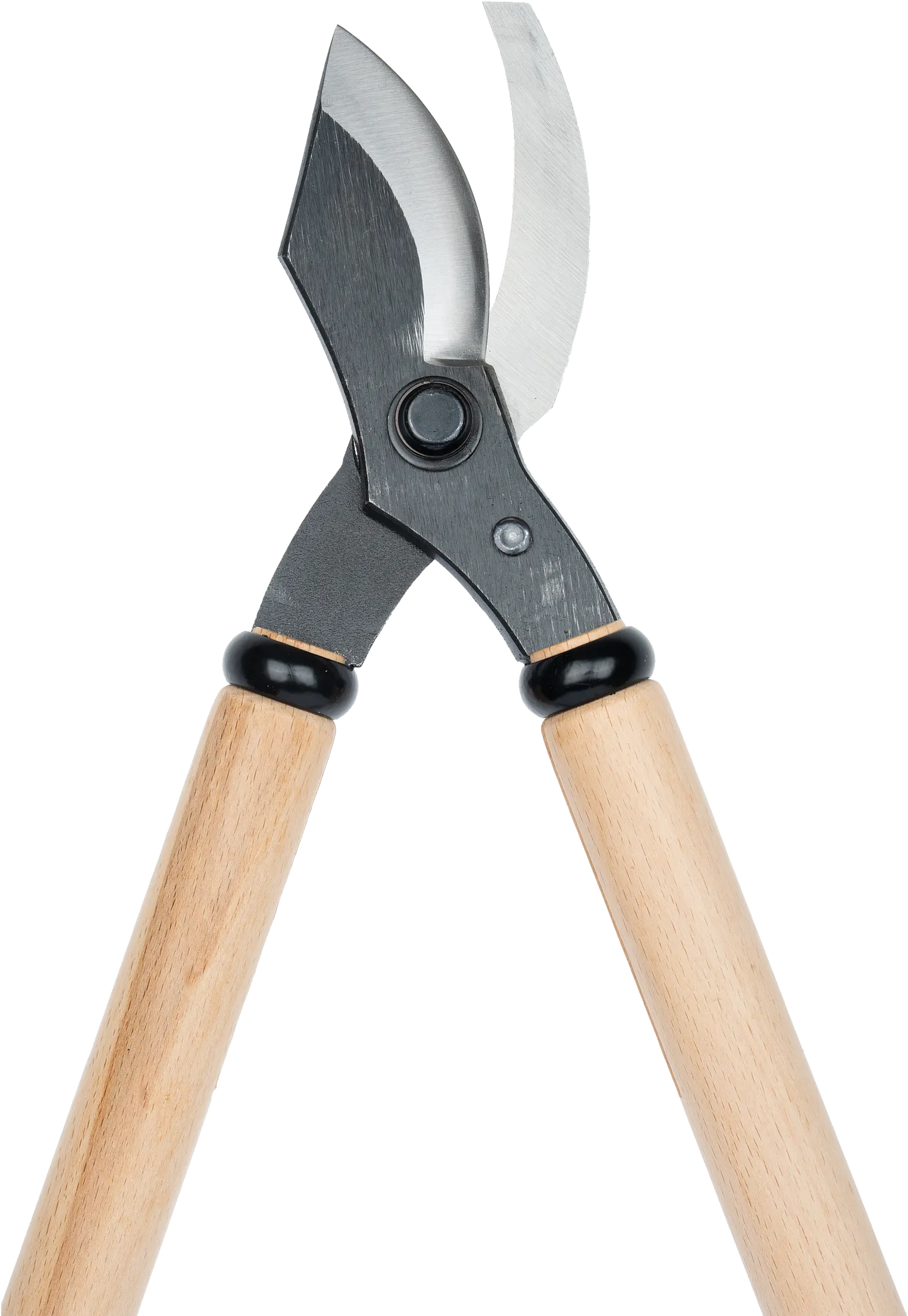 Niwaki Loppers