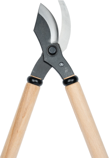 Niwaki Loppers
