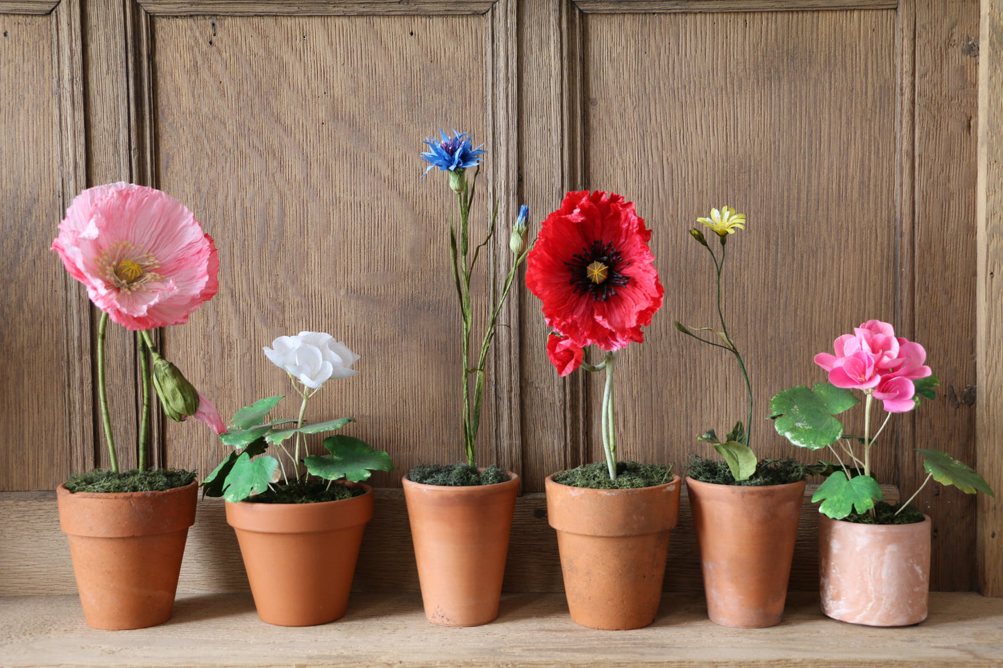 Floragami - Geranium / Pink