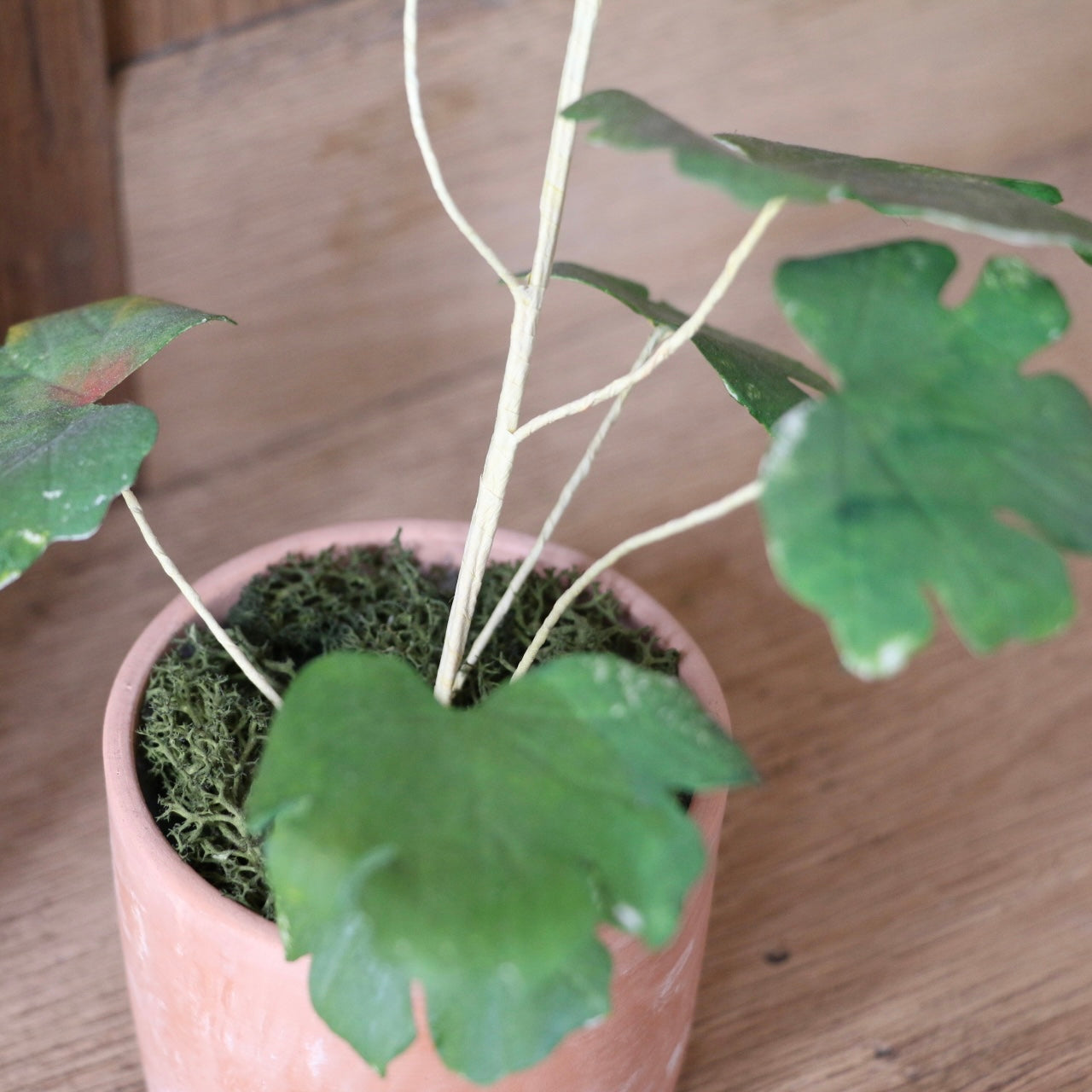 Floragami - Geranium / Pink