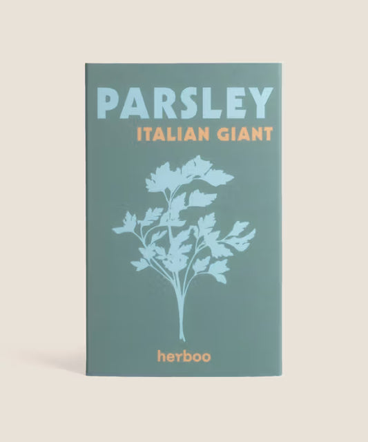 Parsley 'Italian Giant'