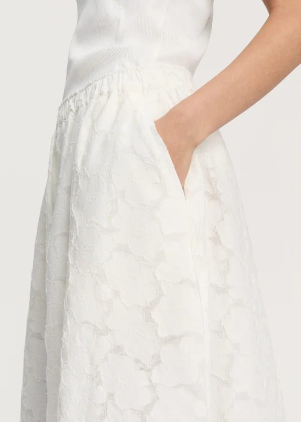 Skirt Laceflower - White