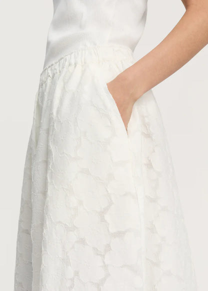 Skirt Laceflower - White
