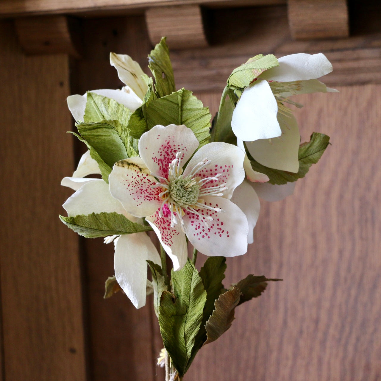 Floragami / Hellebore Bunch #1