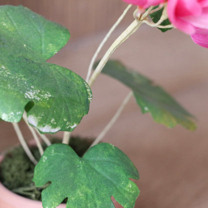 Floragami - Geranium / Pink