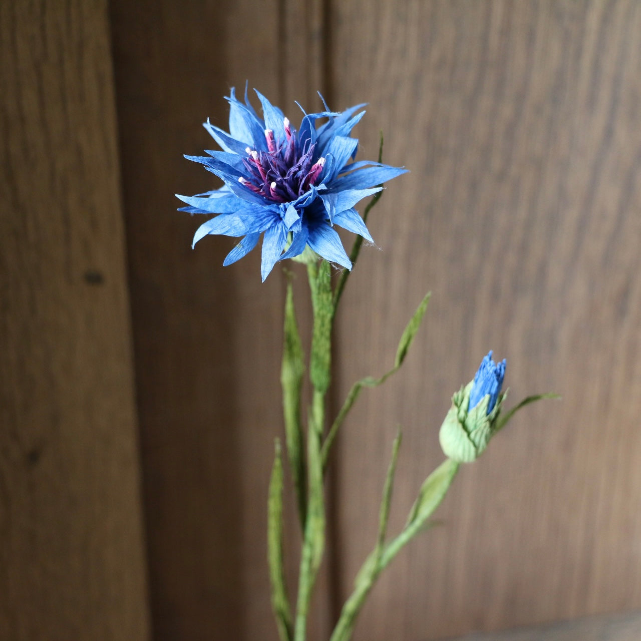 Floragami - Cornflower / Blue
