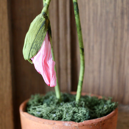 Floragami - Single poppy and Bud / Pink