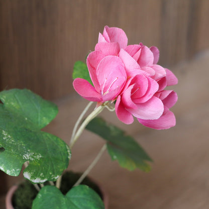 Floragami - Geranium / Pink