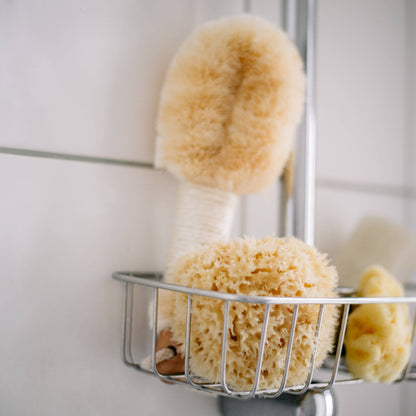Natural Sea Sponge
