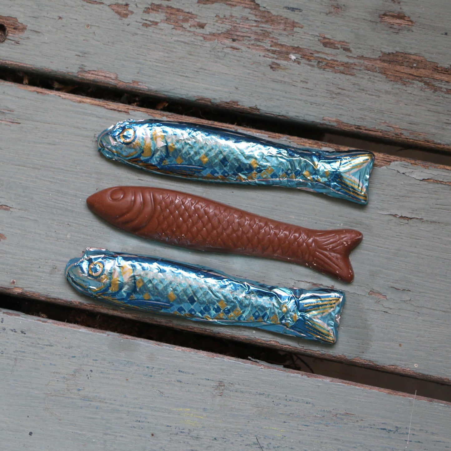 Chocolate Sardines