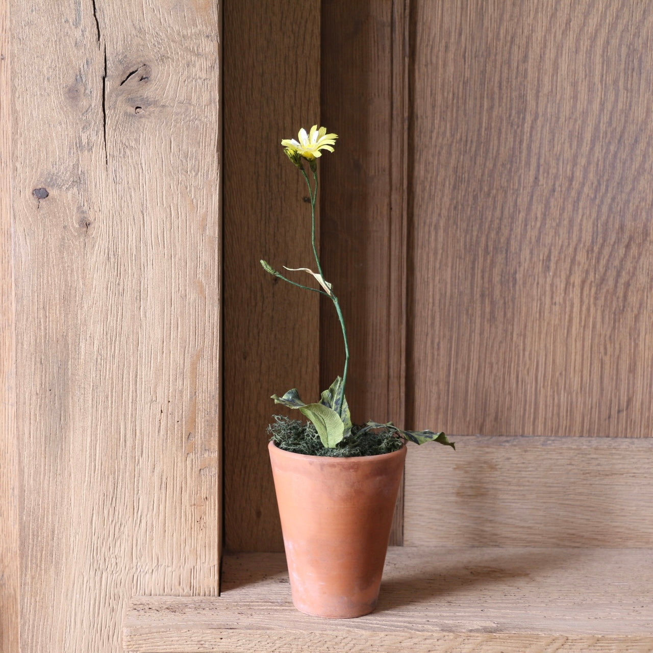 Floragami - Wildflower / Yellow