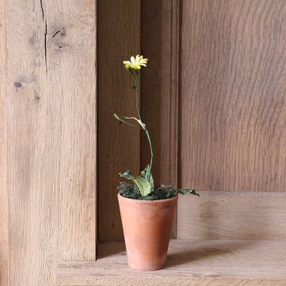 Floragami - Wildflower / Yellow