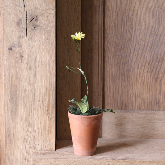 Floragami - Wildflower / Yellow