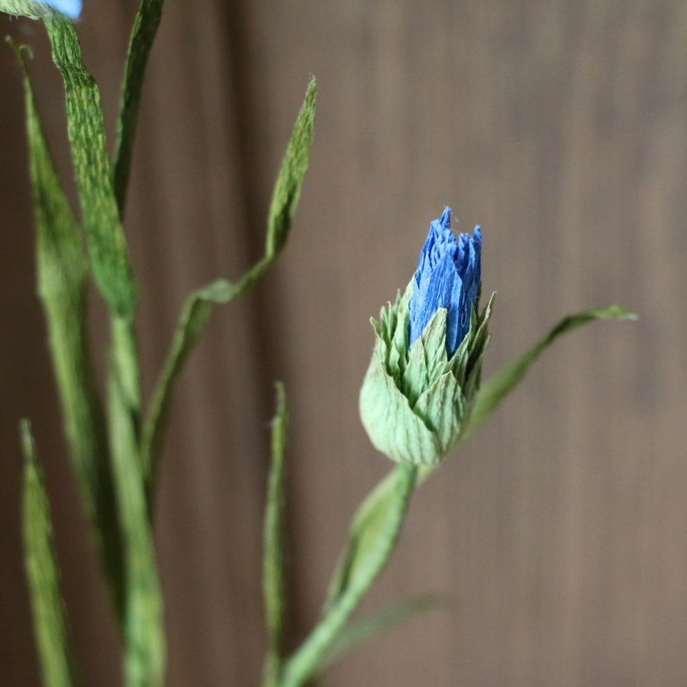 Floragami - Cornflower / Blue