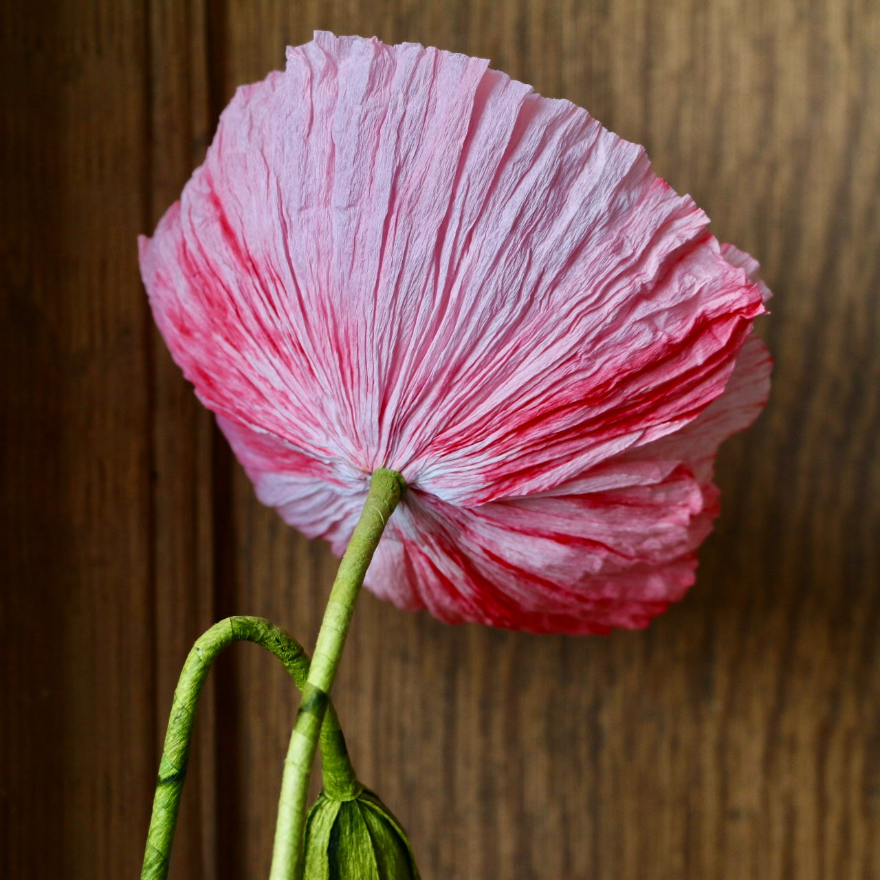 Floragami - Single poppy and Bud / Pink