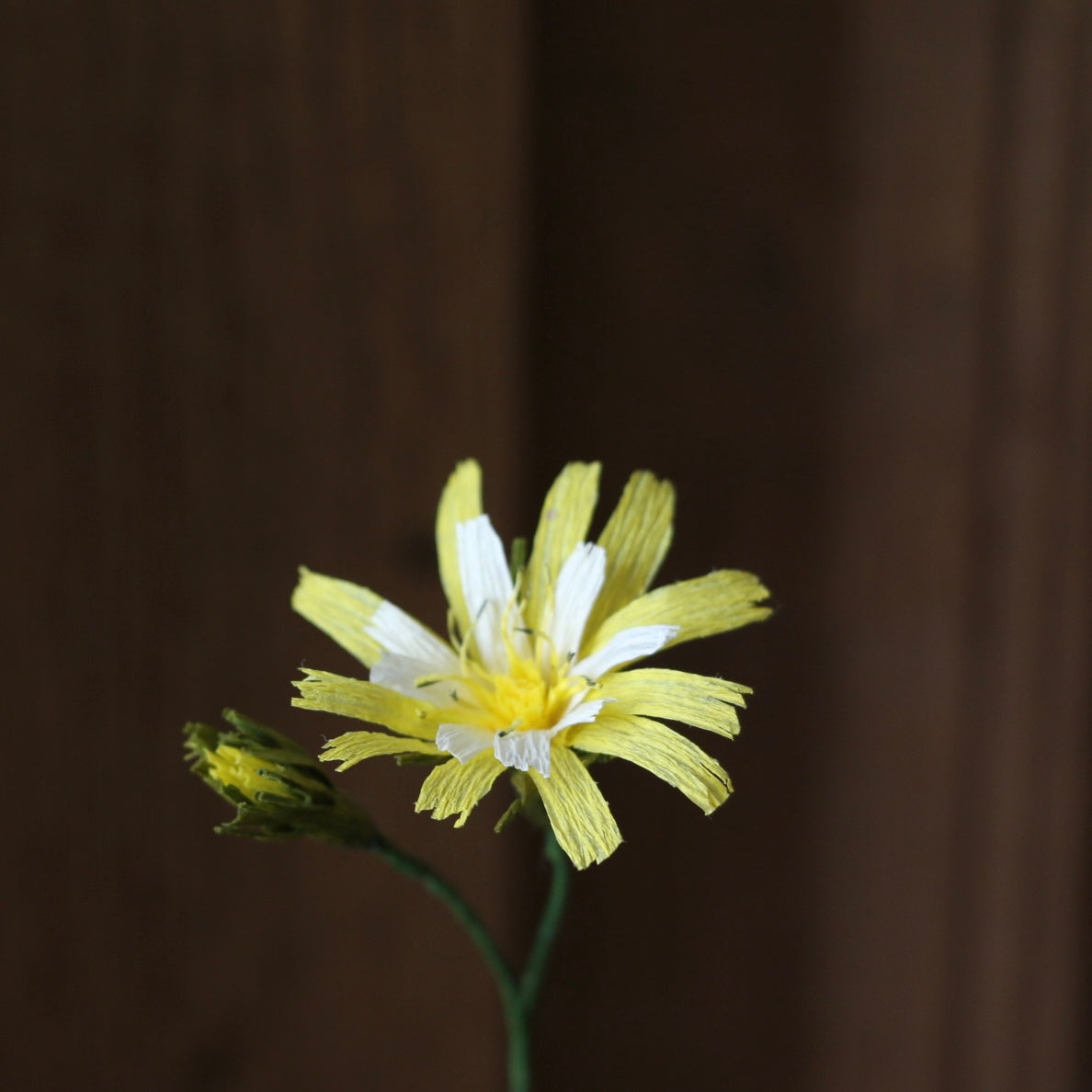 Floragami - Wildflower / Yellow