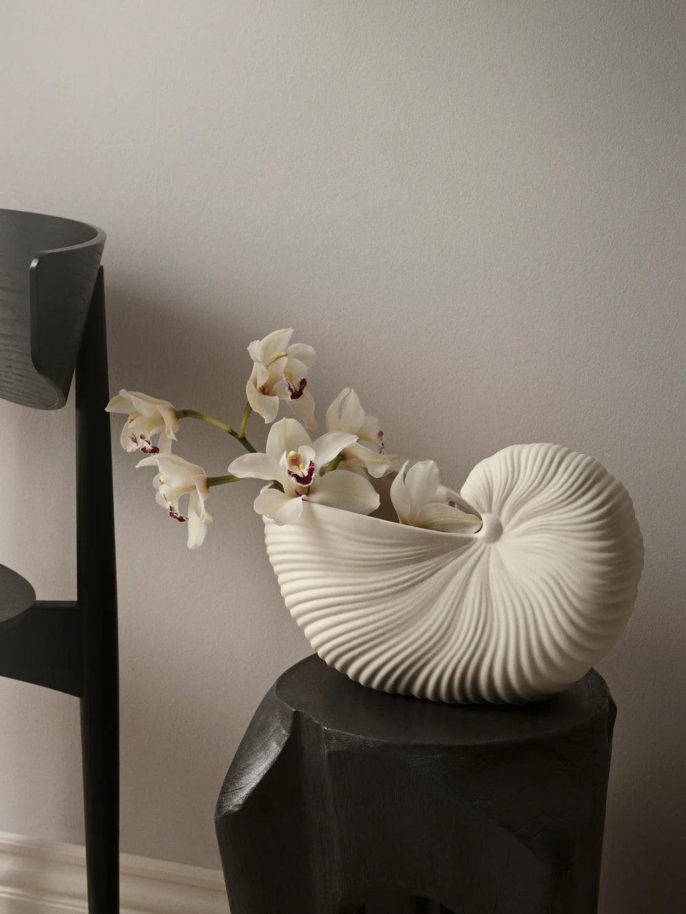 Shell Vase