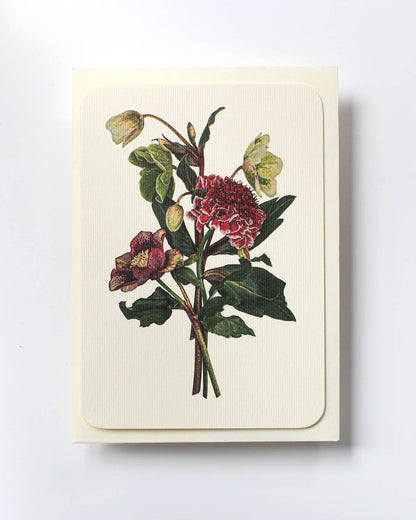 Posy of Hellebore & Scabiosa - Greeting Card
