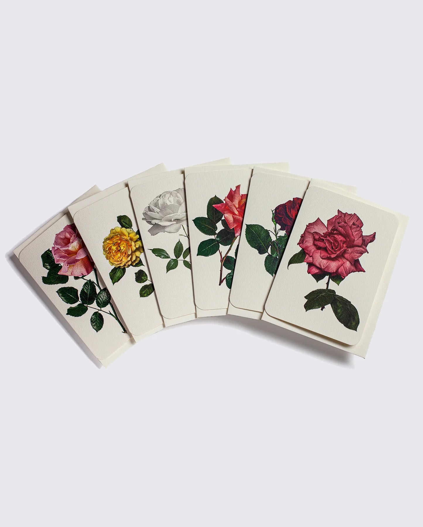 English Rose - Set of 6 Notecards