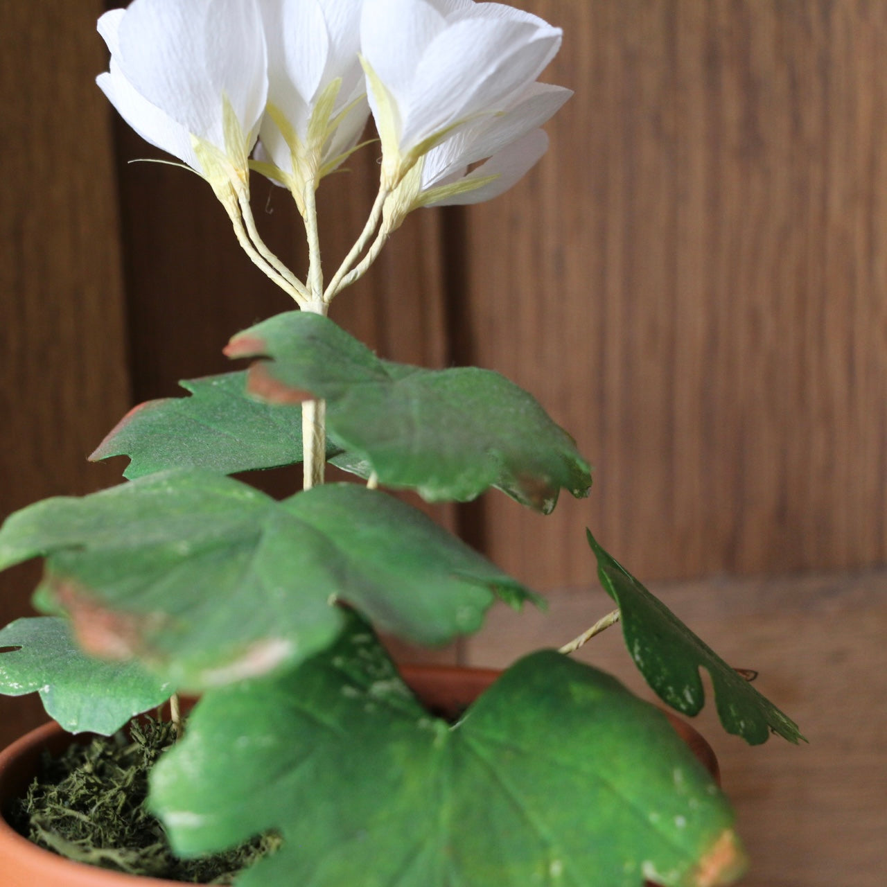 Floragami - Geranium / White