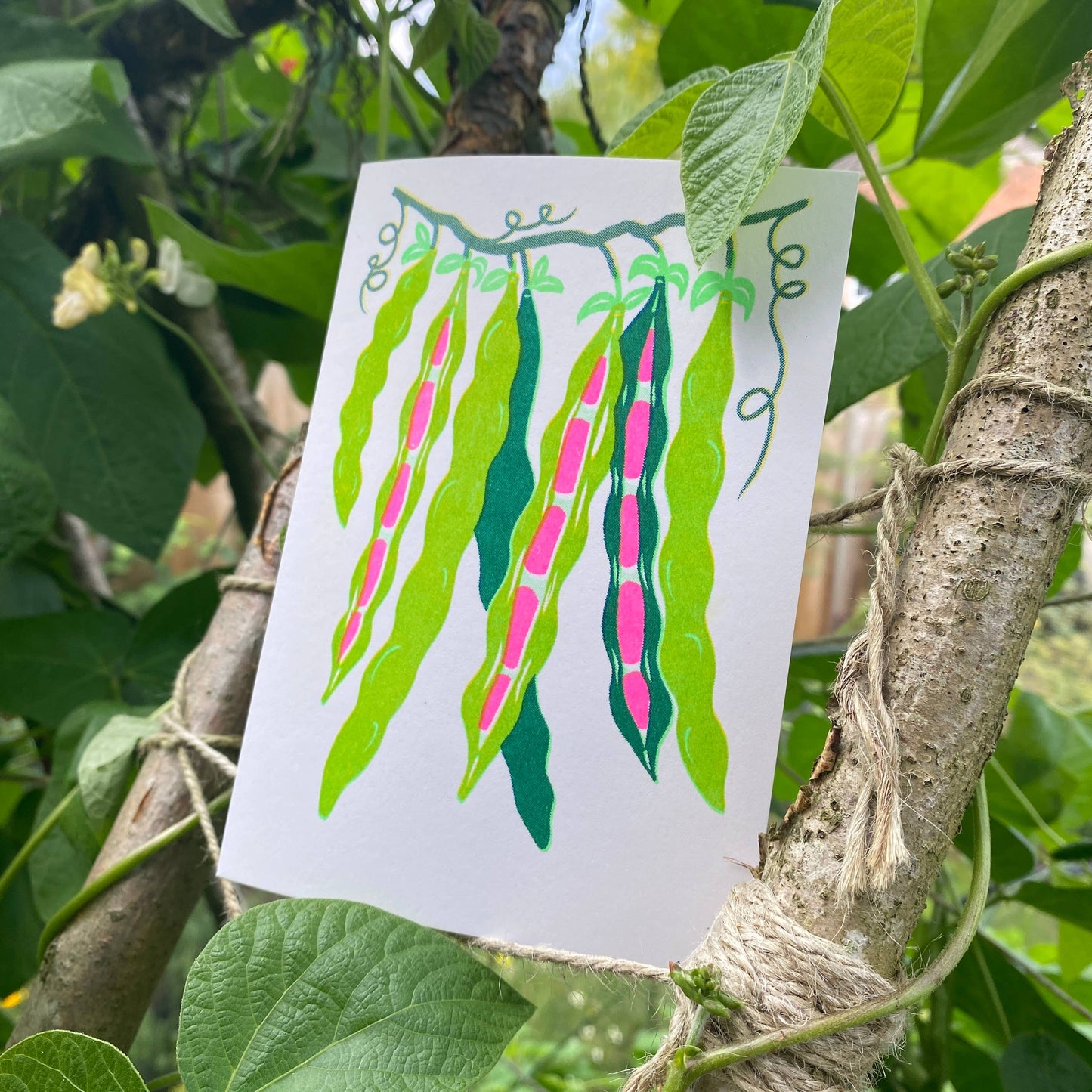 Grow Runner Beans - Greeting Card