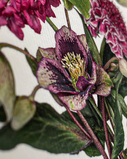 Posy of Hellebore & Scabiosa - Greeting Card