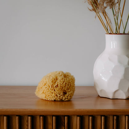 Natural Sea Sponge